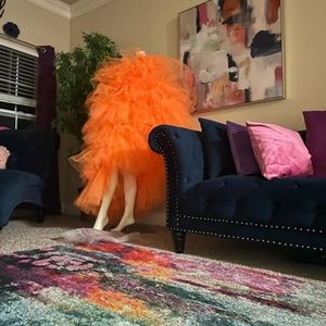 Brand new Plus size Orange Tulle dress.